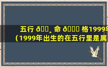 五行 🕸 命 🐝 格1999年（1999年出生的在五行里是属于什么命）